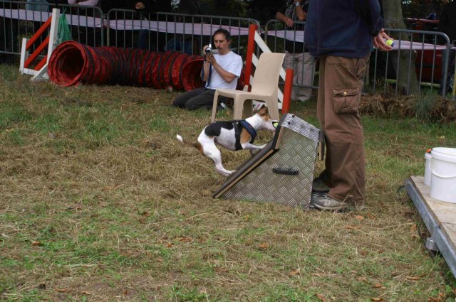 foire-haricots 2011-09-17et18